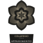 Preview: Collefrisio Appassimento Vino Rosso